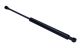 MAXGEAR Gasfeder, Koffer-/Laderaum 12-2036