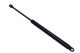 MAXGEAR Gasfeder, Koffer-/Laderaum 12-2043