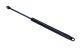 MAXGEAR Gasfeder, Koffer-/Laderaum 12-2045