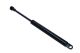 MAXGEAR Gasfeder, Koffer-/Laderaum 12-2046