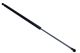 MAXGEAR Gasfeder, Motorhaube 12-2050