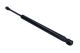 MAXGEAR Gasfeder, Koffer-/Laderaum 12-2051