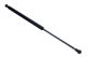MAXGEAR Gasfeder, Koffer-/Laderaum 12-2052