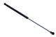 MAXGEAR Gasfeder, Heckscheibe 12-2056