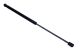 MAXGEAR Gasfeder, Koffer-/Laderaum 12-2060