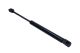 MAXGEAR Gasfeder, Koffer-/Laderaum 12-2062