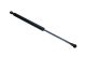 MAXGEAR Gasfeder, Koffer-/Laderaum 12-2072