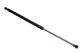 MAXGEAR Gasfeder, Koffer-/Laderaum 12-2075