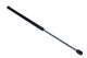 MAXGEAR Gasfeder, Koffer-/Laderaum 12-2079