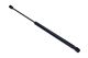 MAXGEAR Gasfeder, Koffer-/Laderaum 12-2086