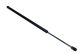 MAXGEAR Gasfeder, Koffer-/Laderaum 12-2087