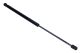MAXGEAR Gasfeder, Koffer-/Laderaum 12-2094