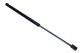 MAXGEAR Gasfeder, Koffer-/Laderaum 12-2096