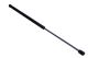 MAXGEAR Gasfeder, Koffer-/Laderaum 12-2098