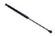 MAXGEAR Gasfeder, Koffer-/Laderaum 12-2104