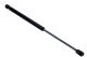 MAXGEAR Gasfeder, Motorhaube 12-2105