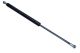 MAXGEAR Gasfeder, Koffer-/Laderaum 12-2109