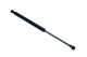 MAXGEAR Gasfeder, Koffer-/Laderaum 12-2114