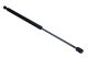 MAXGEAR Gasfeder, Koffer-/Laderaum 12-2115