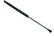 MAXGEAR Gasfeder, Koffer-/Laderaum 12-2116