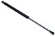 MAXGEAR Gasfeder, Koffer-/Laderaum 12-2120