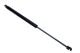 MAXGEAR Gasfeder, Koffer-/Laderaum 12-2122