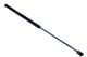 MAXGEAR Gasfeder, Koffer-/Laderaum 12-2123