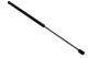 MAXGEAR Gasfeder, Koffer-/Laderaum 12-2128