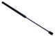 MAXGEAR Gasfeder, Koffer-/Laderaum 12-2135