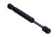 MAXGEAR Gasfeder, Koffer-/Laderaum 12-2137