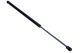 MAXGEAR Gasfeder, Koffer-/Laderaum 12-2139