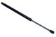 MAXGEAR Gasfeder, Koffer-/Laderaum 12-2154