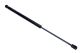 MAXGEAR Gasfeder, Koffer-/Laderaum 12-2164