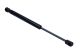 MAXGEAR Gasfeder, Motorhaube 12-2167