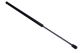 MAXGEAR Gasfeder, Motorhaube 12-2179