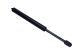MAXGEAR Gasfeder, Motorhaube 12-2183