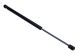 MAXGEAR Gasfeder, Motorhaube 12-2193