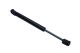 MAXGEAR Gasfeder, Motorhaube 12-2204