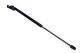 MAXGEAR Gasfeder, Motorhaube 12-2209