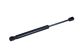 MAXGEAR Gasfeder, Motorhaube 12-2215