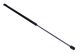 MAXGEAR Gasfeder, Motorhaube 12-2234