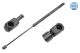 MEYLE Gasfeder, Koffer-/Laderaum 040 910 0007