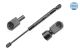 MEYLE Gasfeder, Koffer-/Laderaum 040 910 0023