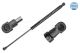 MEYLE Gasfeder, Koffer-/Laderaum 040 910 0041