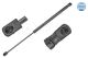 MEYLE Gasfeder, Koffer-/Laderaum 040 910 0042
