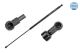 MEYLE Gasfeder, Motorhaube 11-40 910 0013