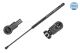 MEYLE Gasfeder, Koffer-/Laderaum 11-40 910 0023