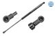 MEYLE Gasfeder, Koffer-/Laderaum 11-40 910 0026