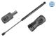 MEYLE Gasfeder, Koffer-/Laderaum 11-40 910 0031