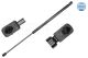 MEYLE Gasfeder, Koffer-/Laderaum 11-40 910 0032